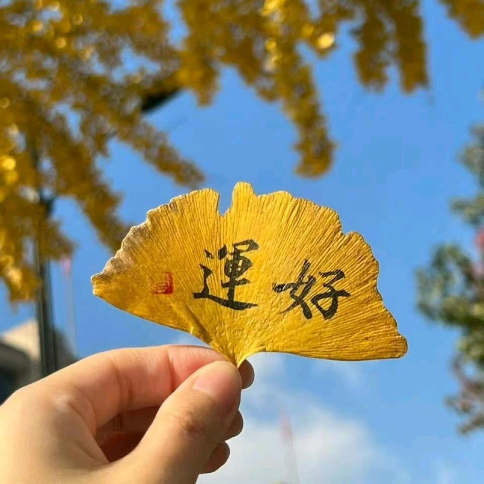 好运77