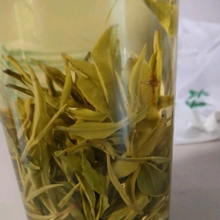 一杯茶