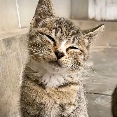 六个太阳的传说