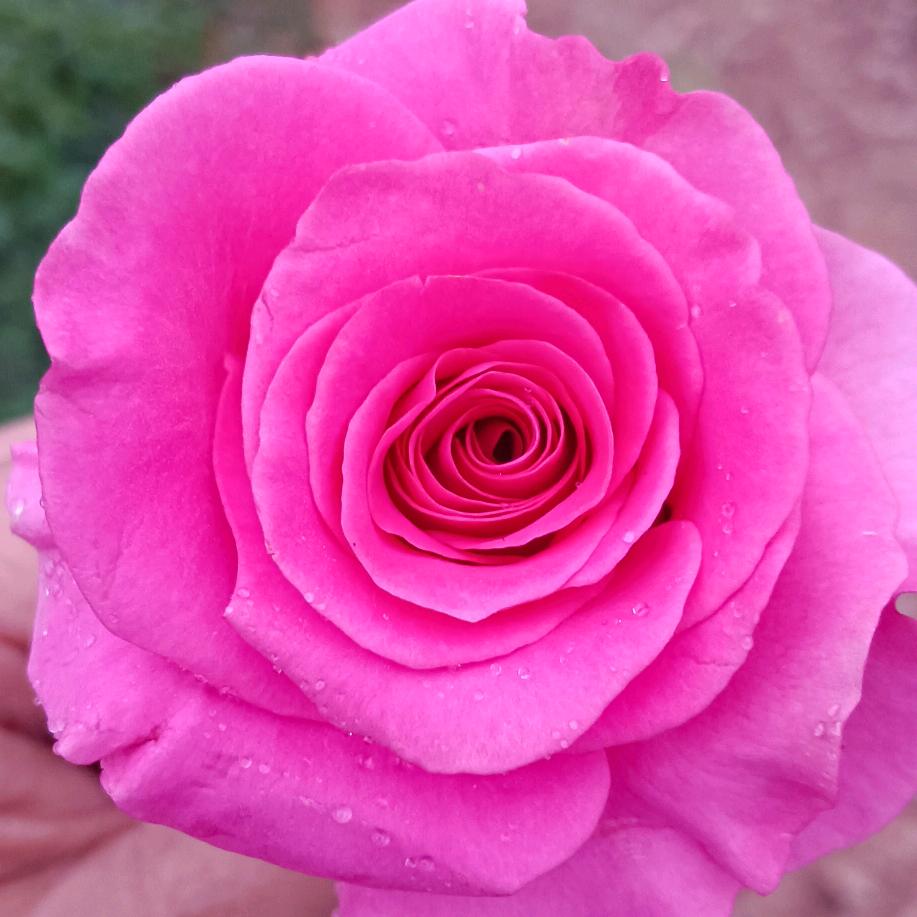 @💞一切ོএ都好💞:689