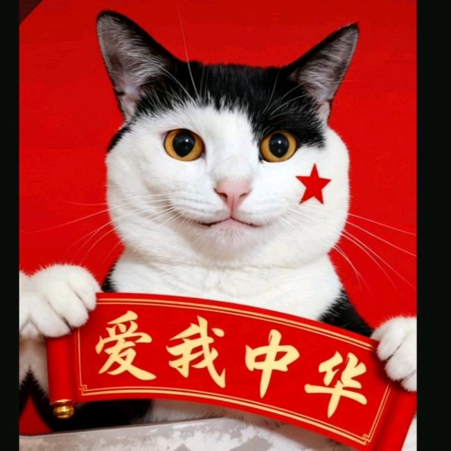 🇨🇳巧哥是只猫🐈
