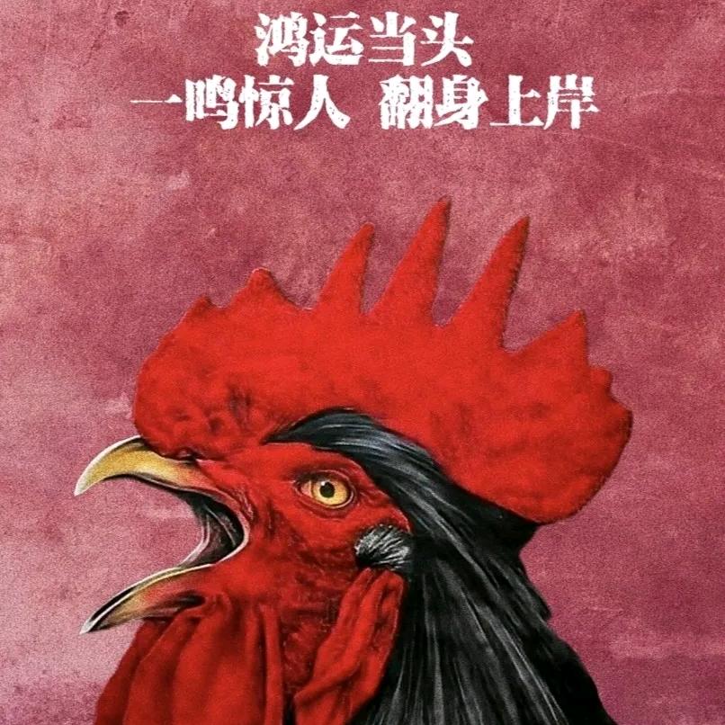 每天抖一抖快乐到永久