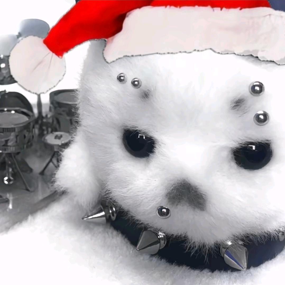 菜菜(求无偿版)