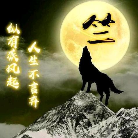 🐺行天下