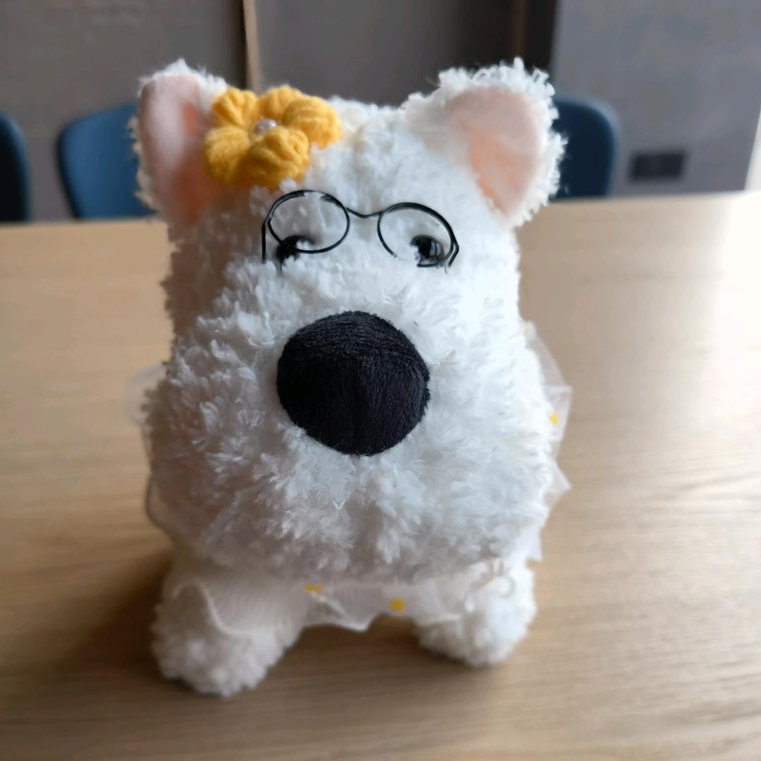 米宠🐾一家