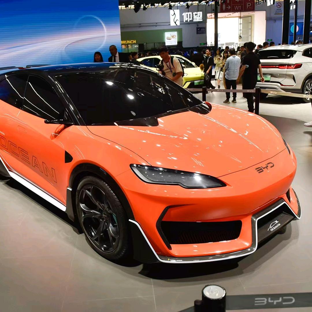 佛山迪源比亚迪海洋网李磊