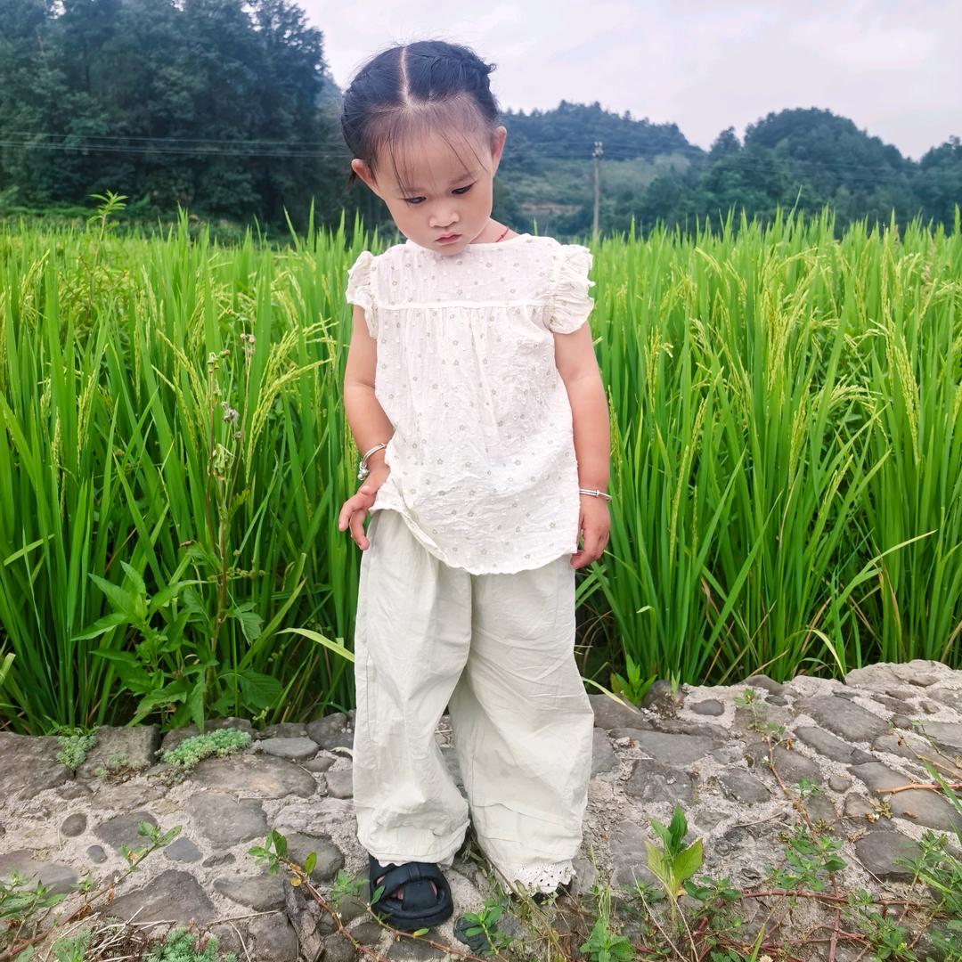 ᭄ོ净水🦋ꦿ໊微澜এ᭄ོ