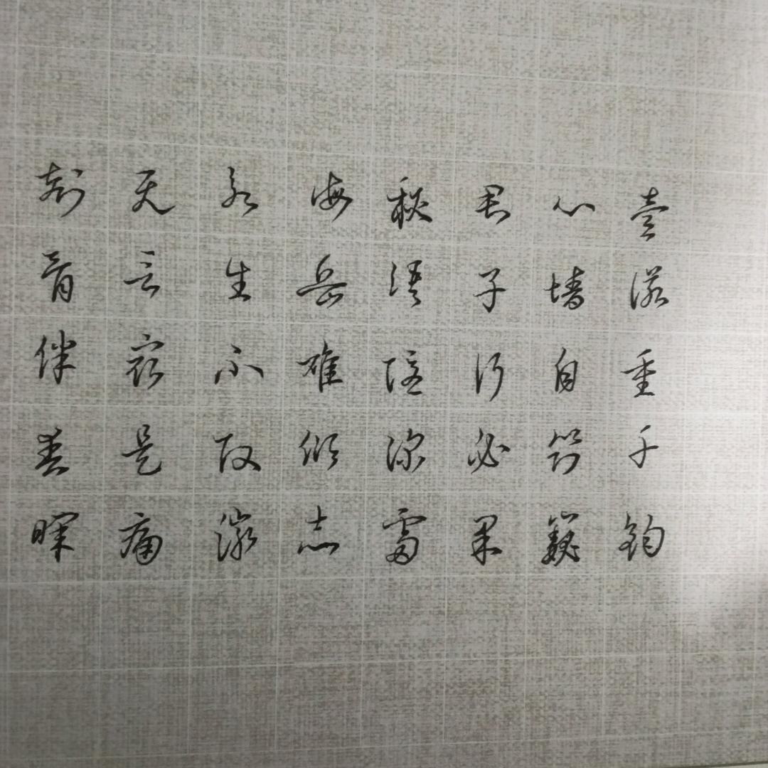 星晨•街遛子