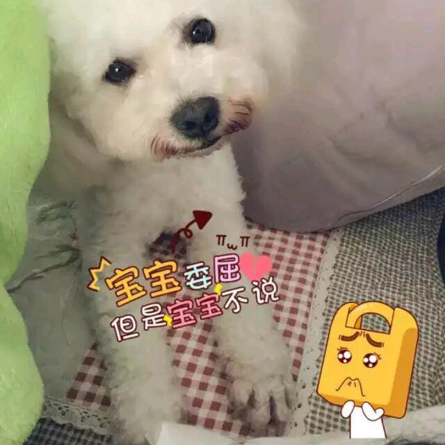 文叫兽