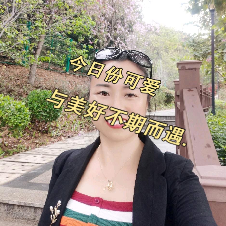 凤凰快乐燕子
