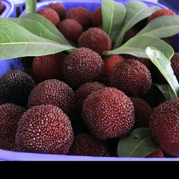 漳州味极鲜果蔬店