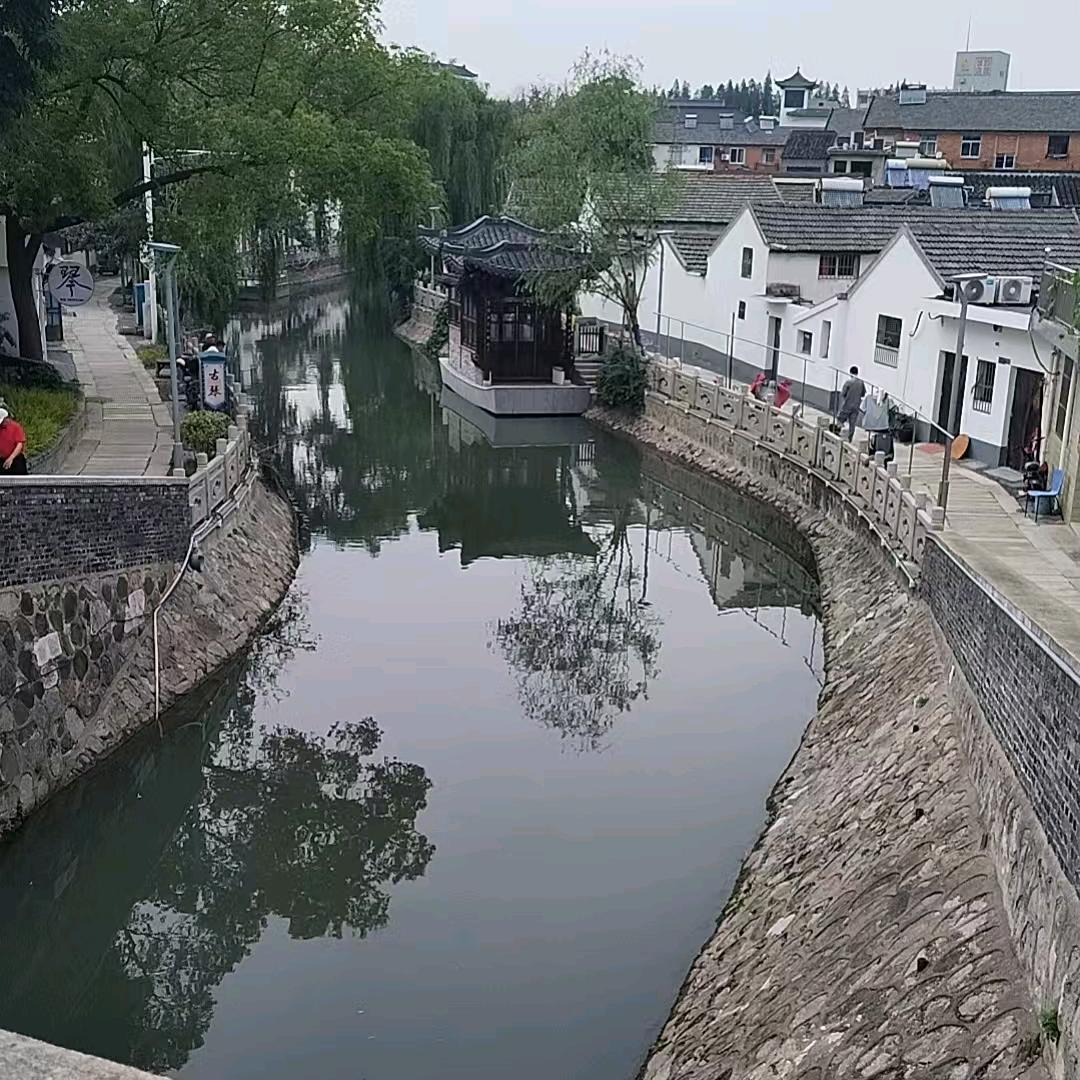 你是小趴菜
