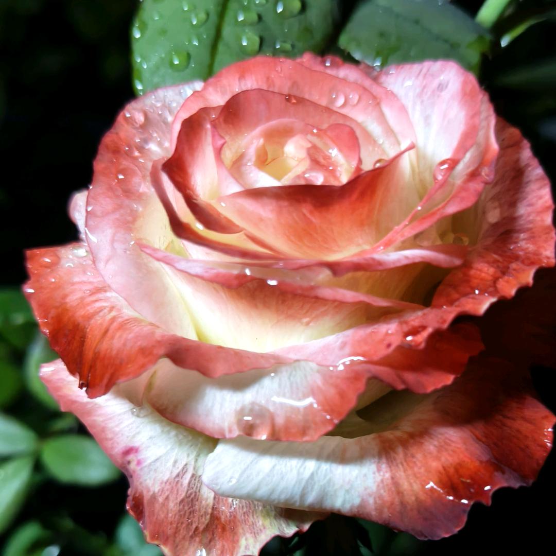 💋梦未完、待续💋