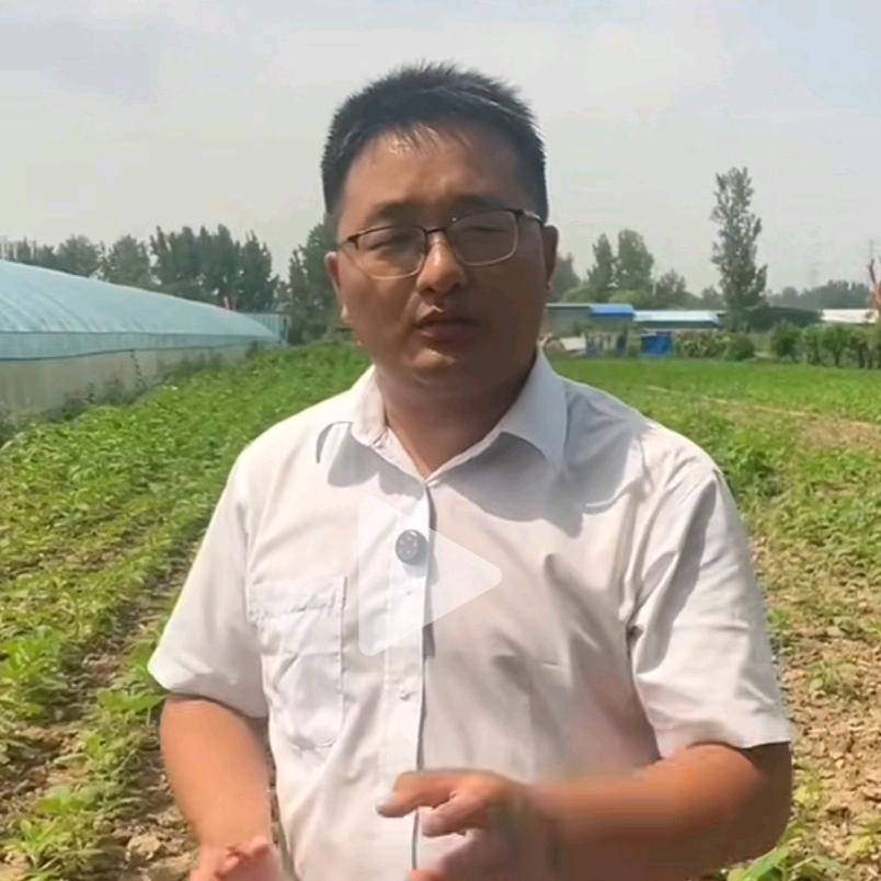 果树管理老高