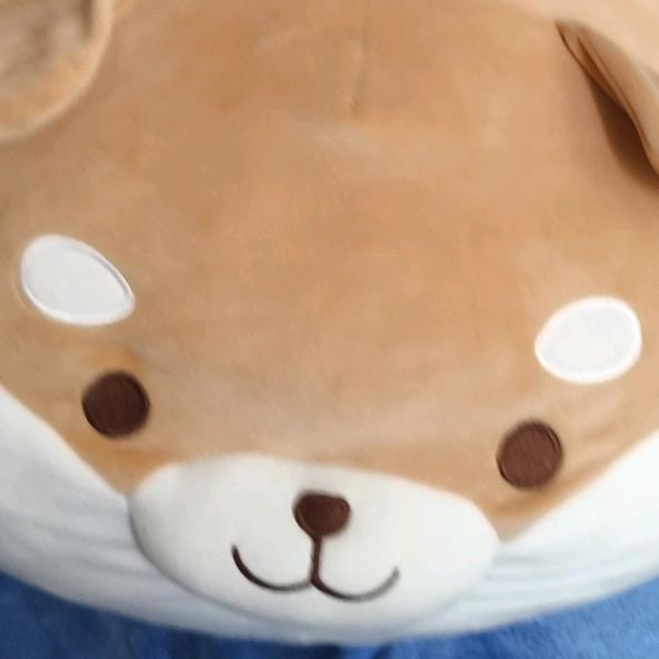 遇上方知有ω