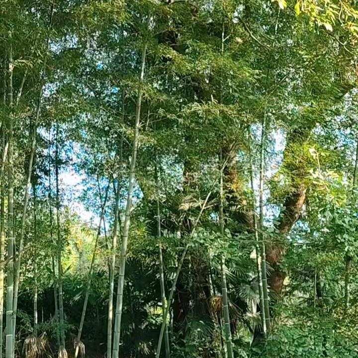忘记过去