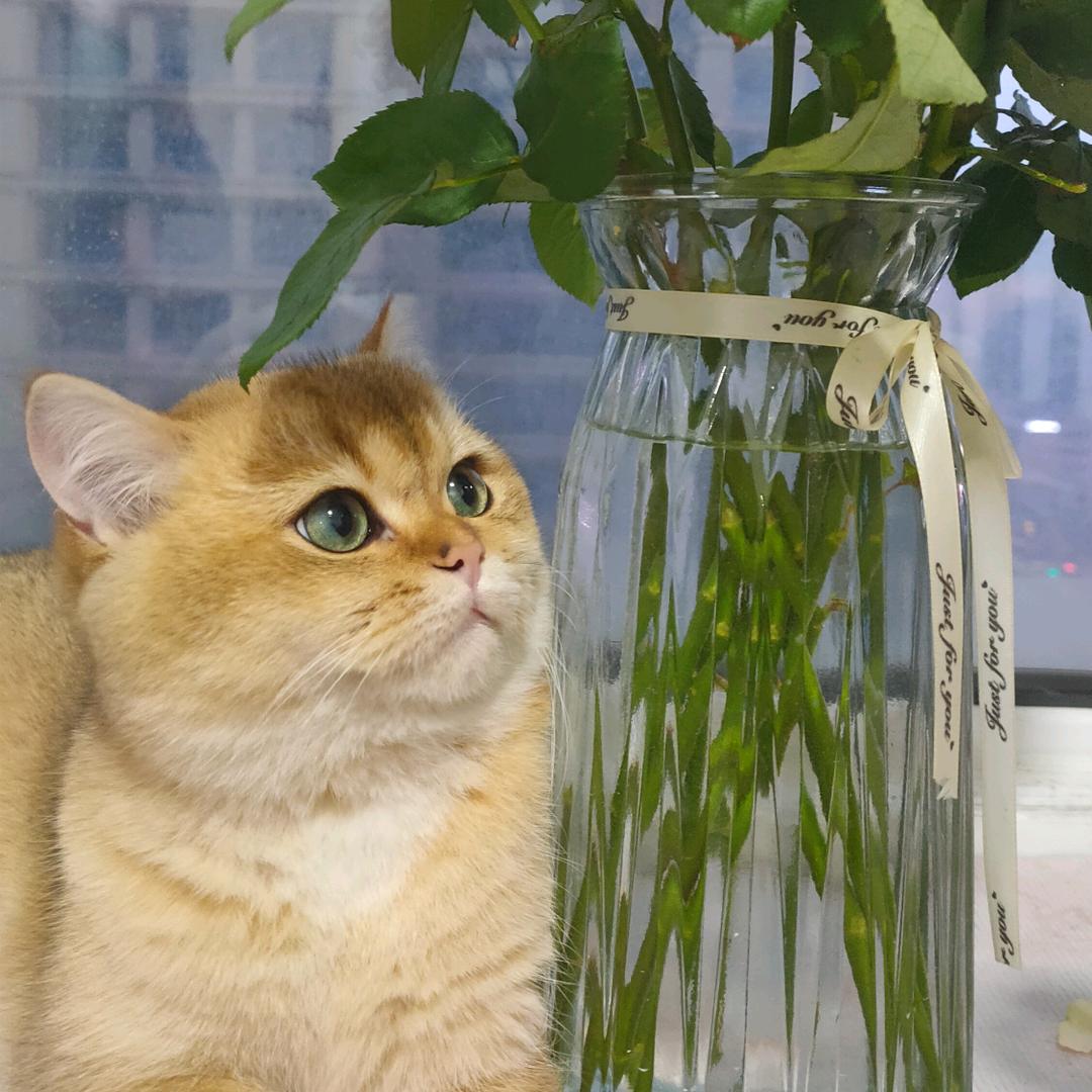 看云淡风轻