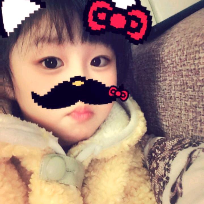 小狗可可