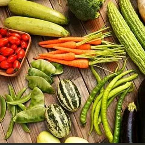 合理膳食｜饮食课堂