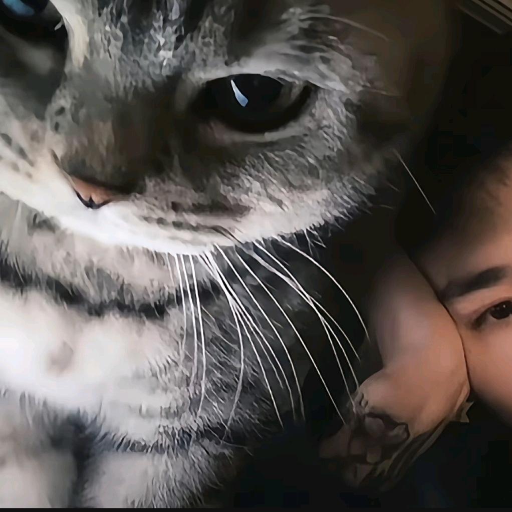双休日
