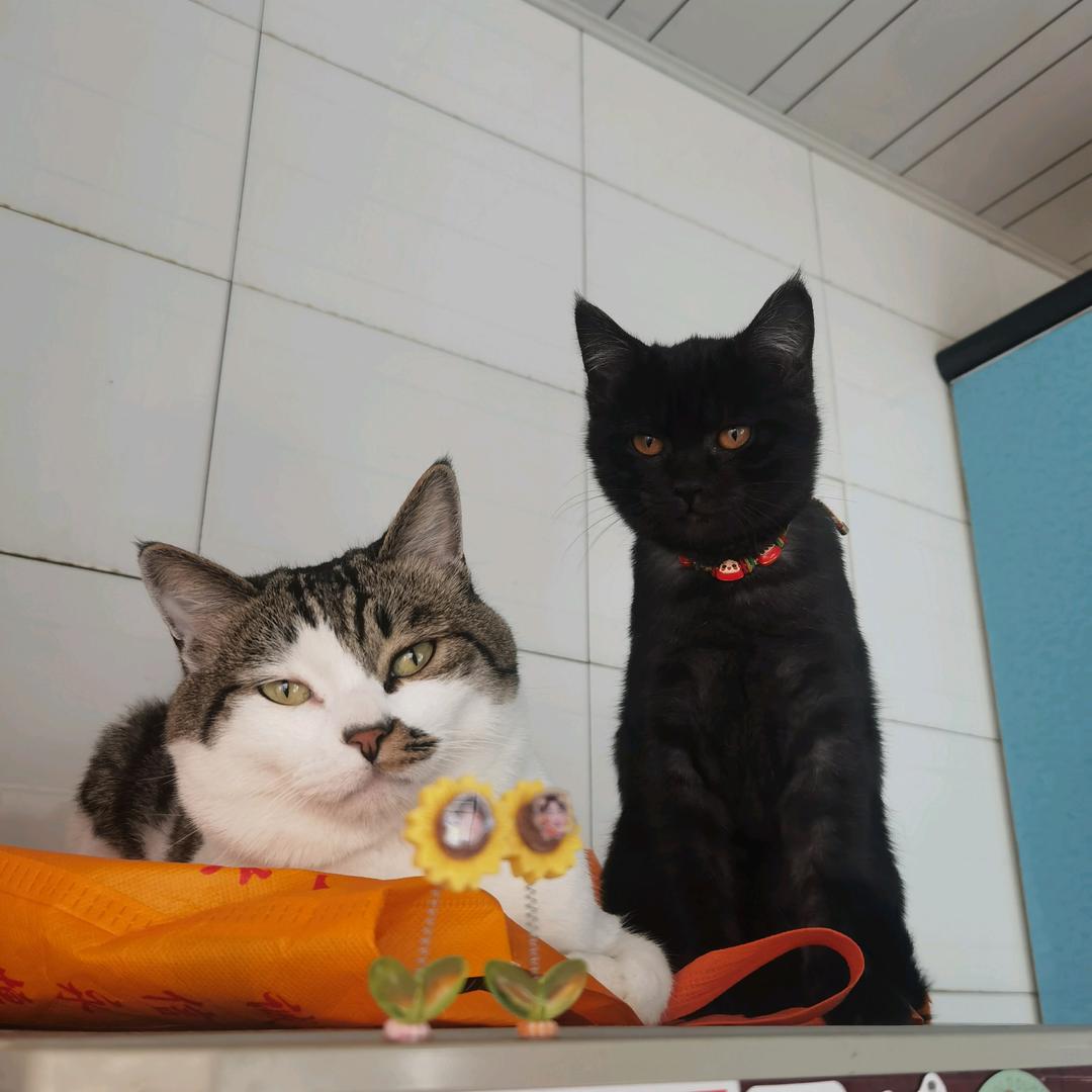 滕滕天天开心.🌾