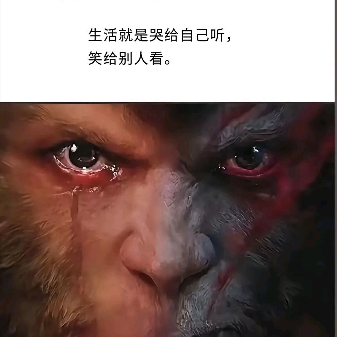 张海军