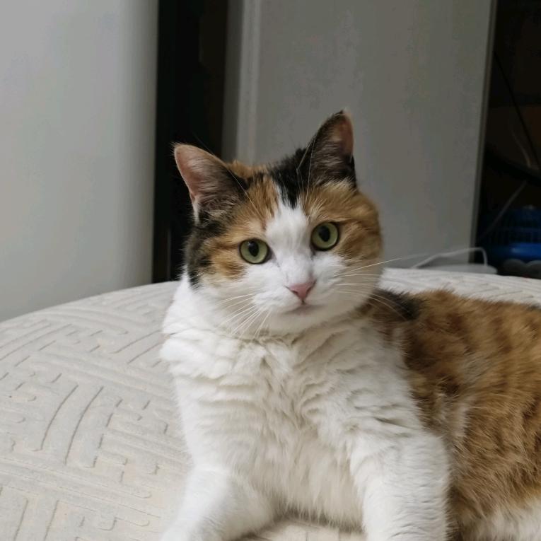 拜泉县盛和人力资源