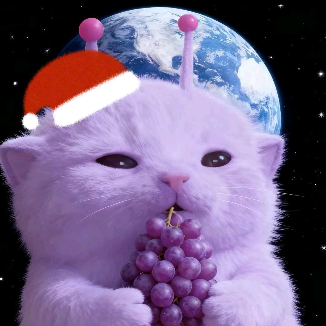 lili030栗（三角洲捞手）