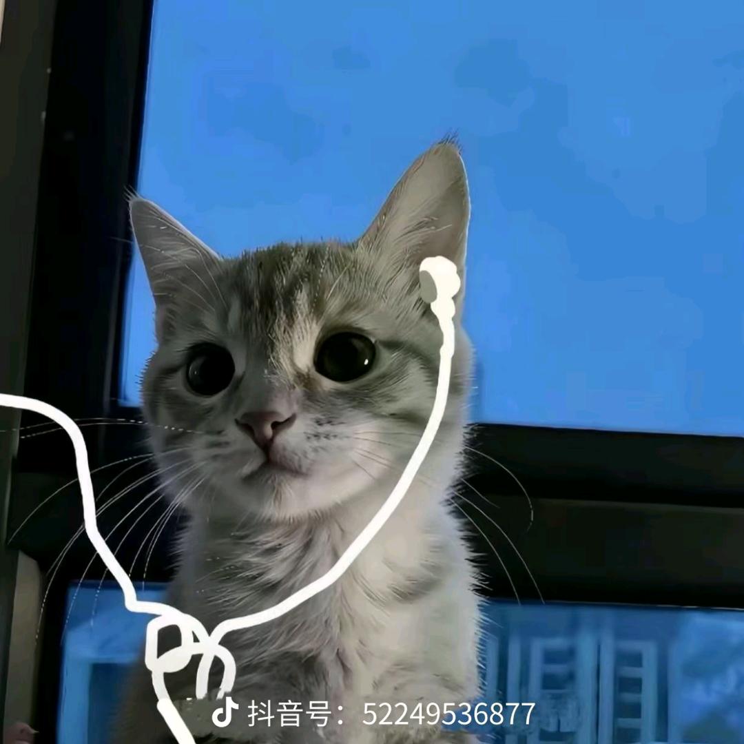 耳机猫咪头像