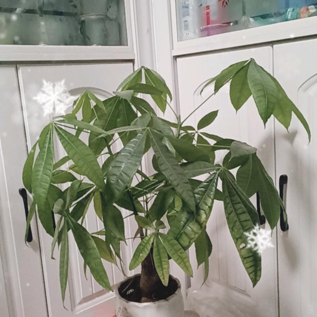有缘份