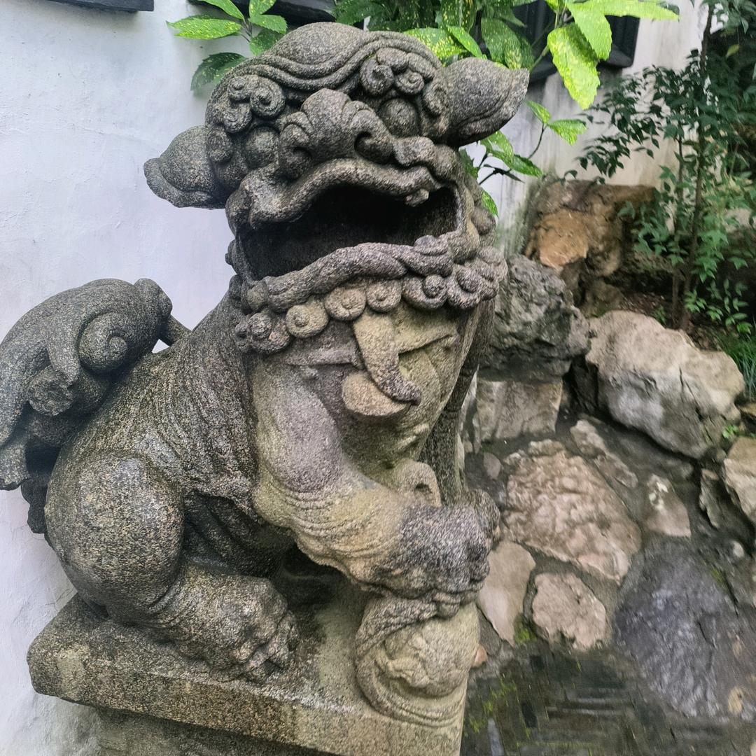 友友 精细鬼