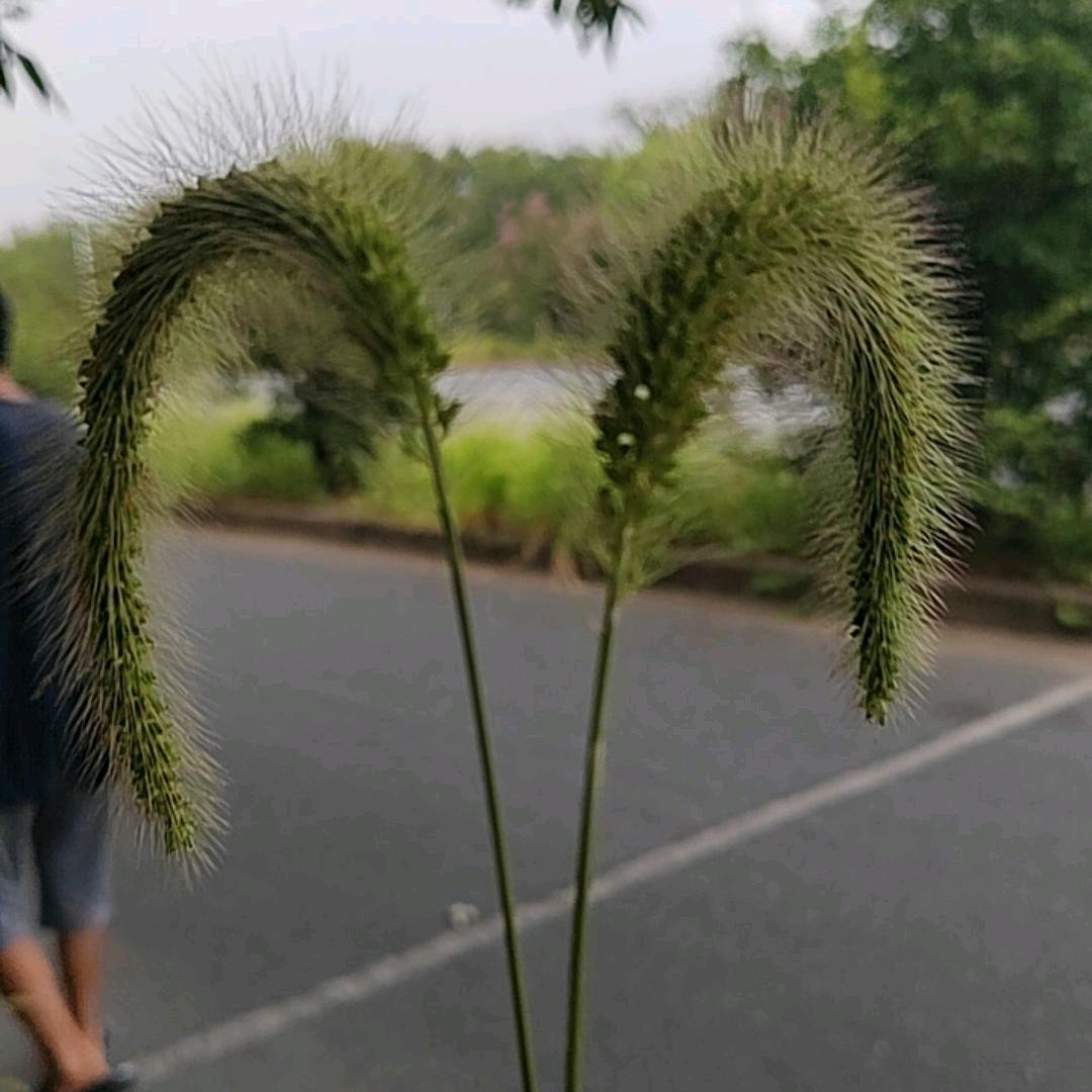 @ℒᎭℯ⃝无聊᭨ᮩ໊࿐: ℒᎭℯ: