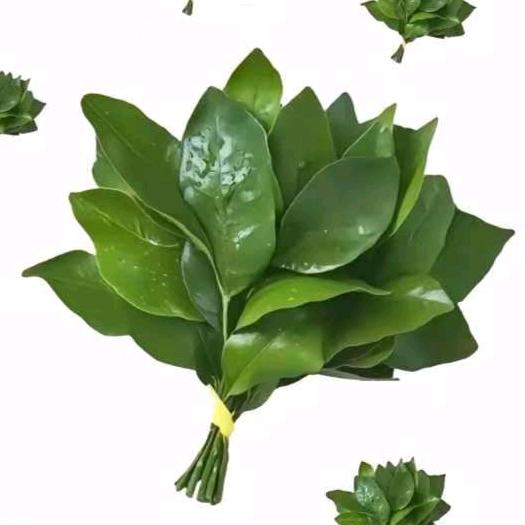 林熙