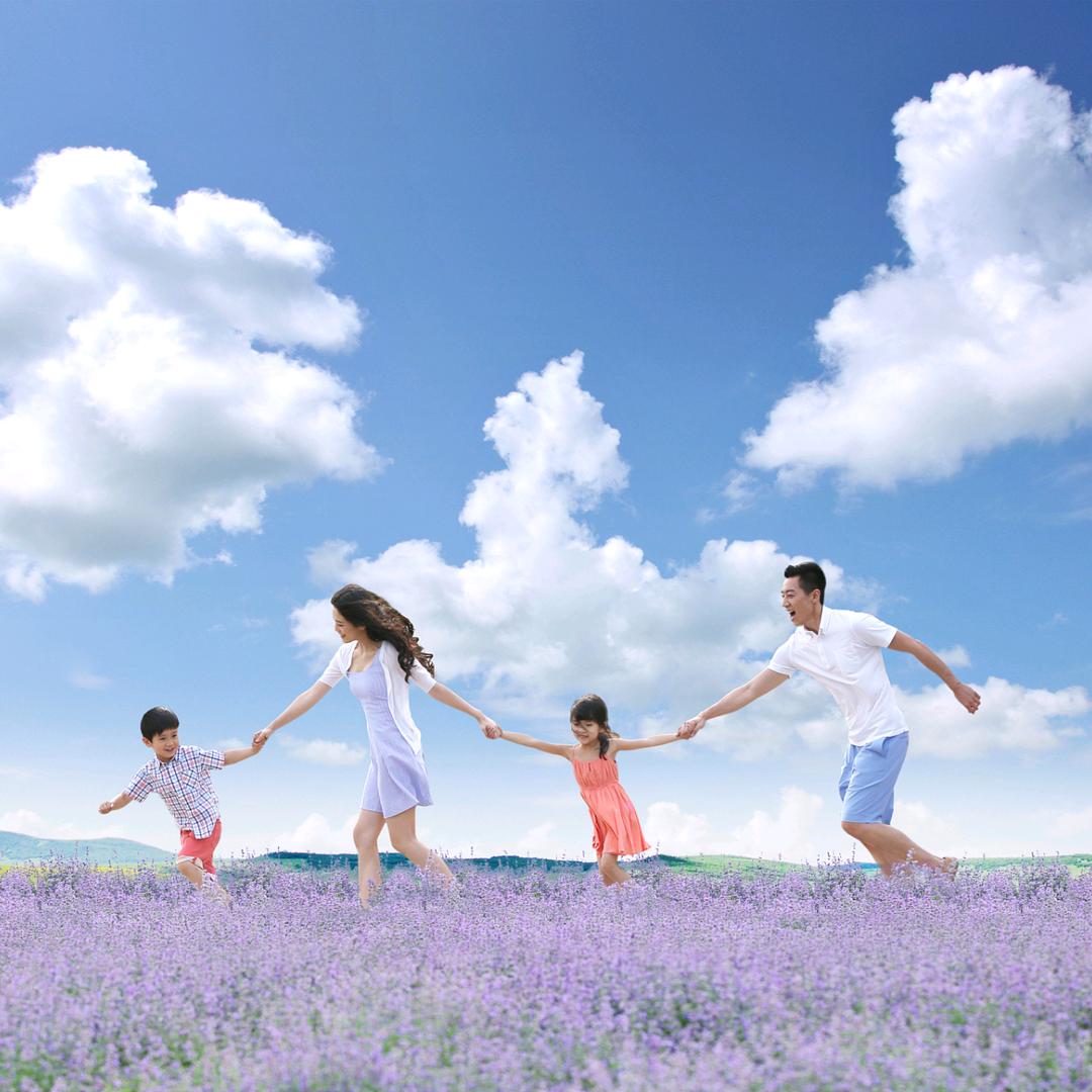 大橘团购特价攻略