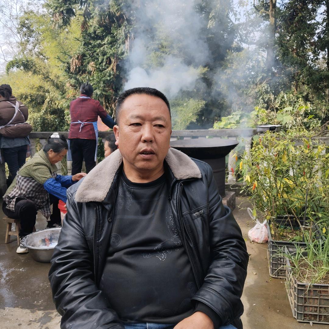 手机用户周鑫，专业收猪牛，伤残猪，伤残