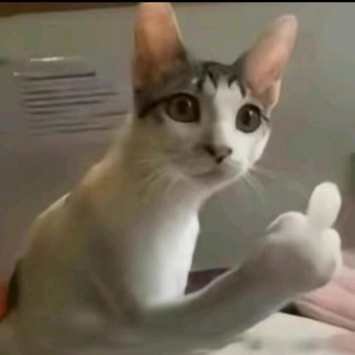 繁华(塔科夫版)