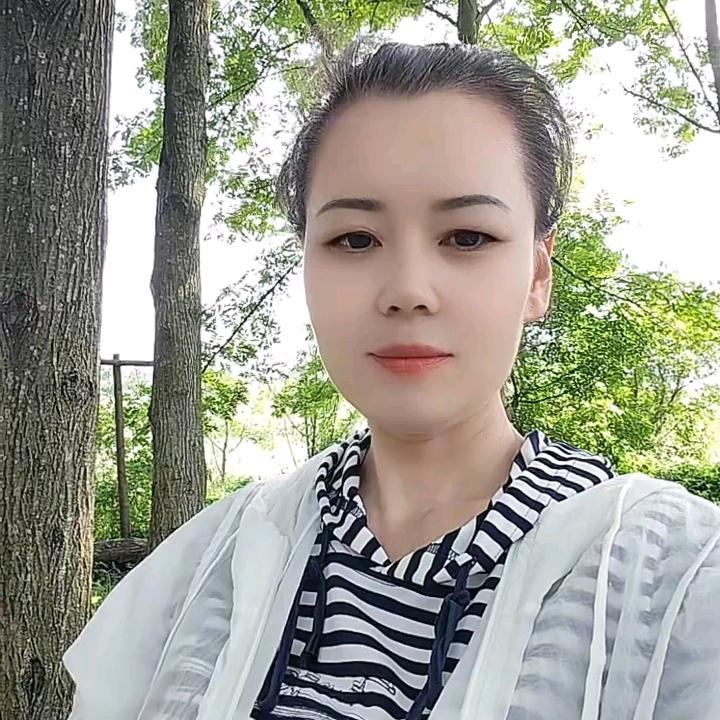 沙仑玫瑰