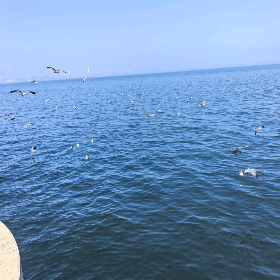 👑自🧚‍♀️由☘️自🧚🏿在💍