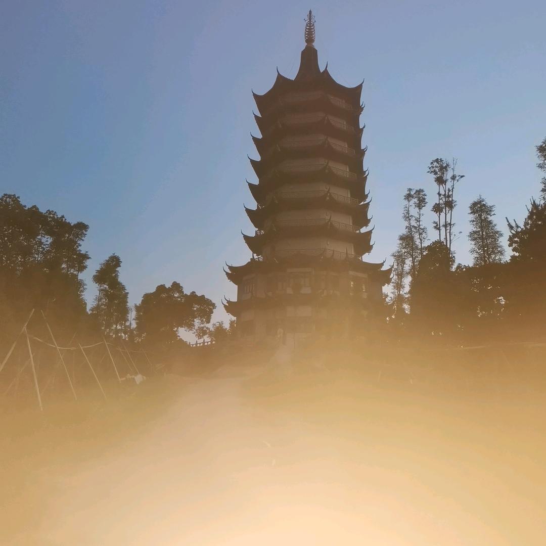 顺其自然