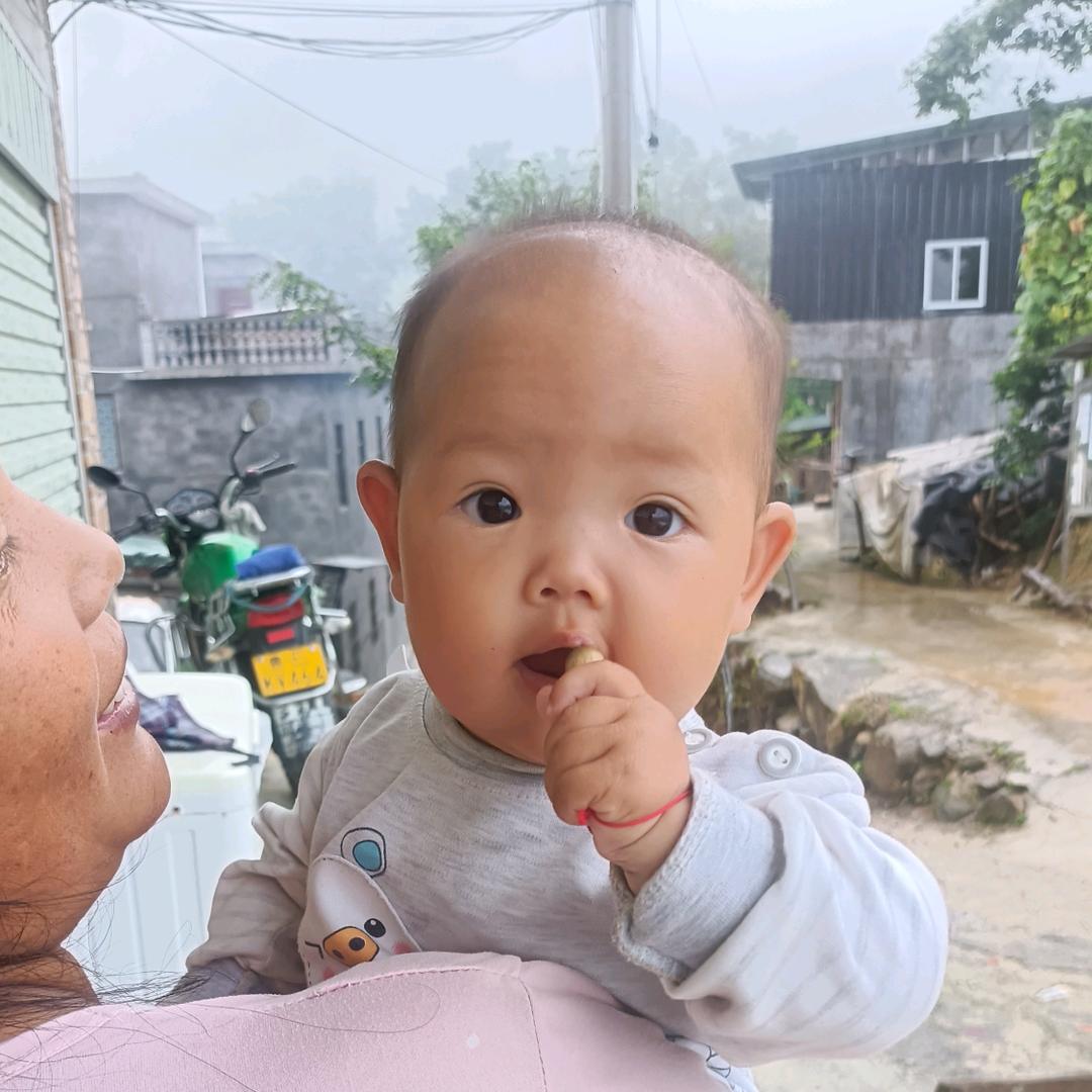 黄柏树苗培育基地