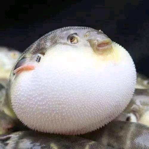 于权