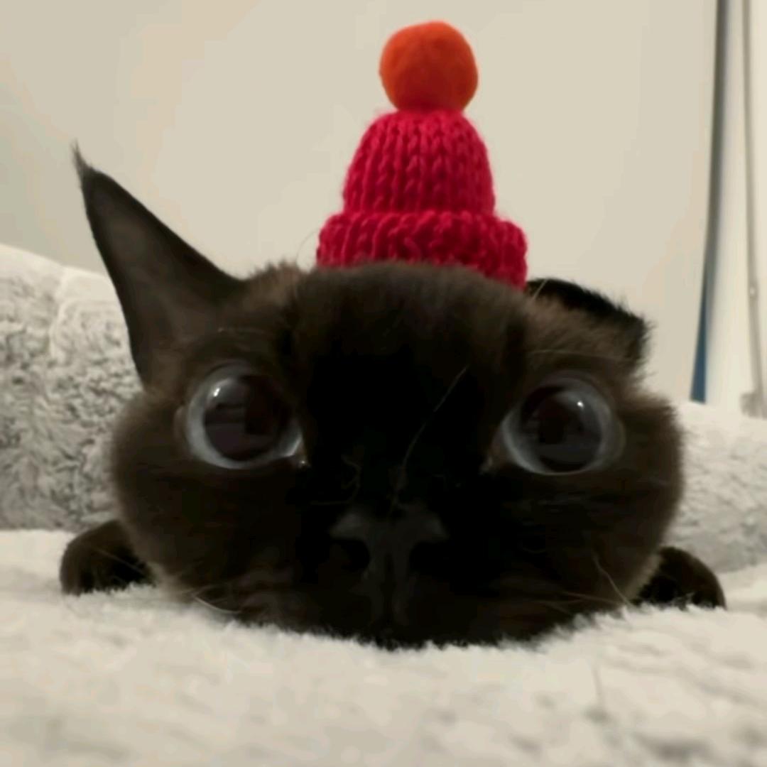 一米八的菠萝包（想加薪版）