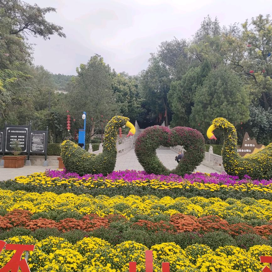 鑫桐轩乐