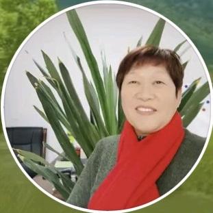 于姐视频多
