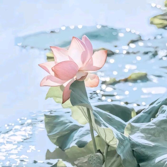 ༊ღ᭄淡定ღ᭄