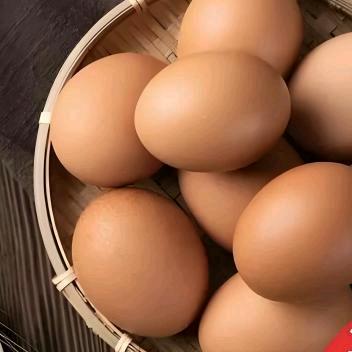 D鲜味的美食活珠