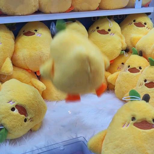 梦.殒