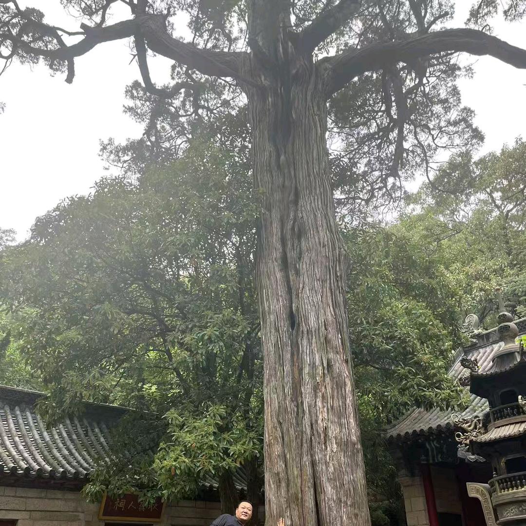 山鬼恶僧