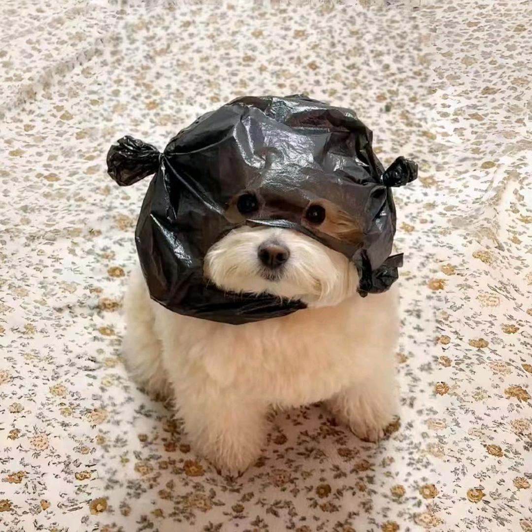 阔乐真的快乐🥰