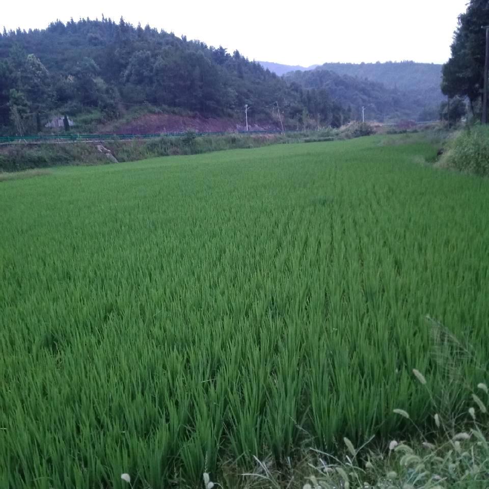 不离不弃